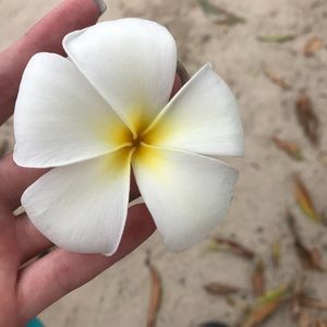 Meet your Posher, Sydney